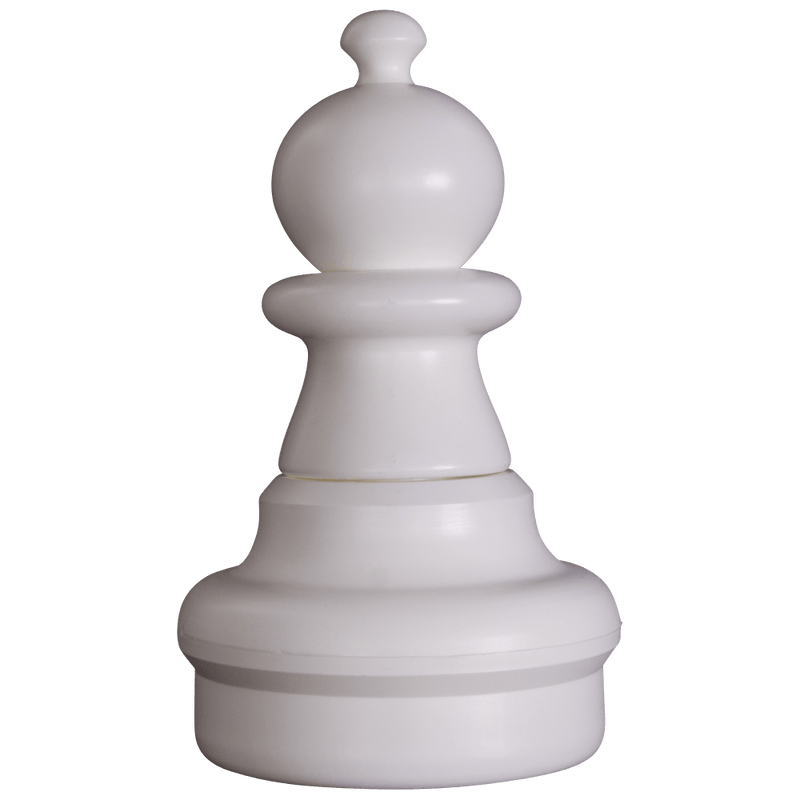 A game of chess has several kinds of pieces: pawns
